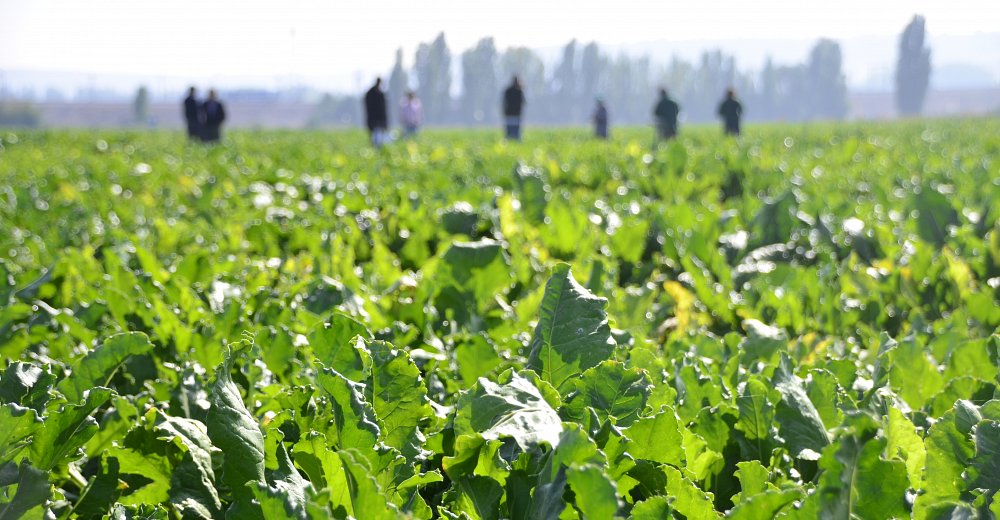 Working together to deliver results for our Spanish growers and the environment