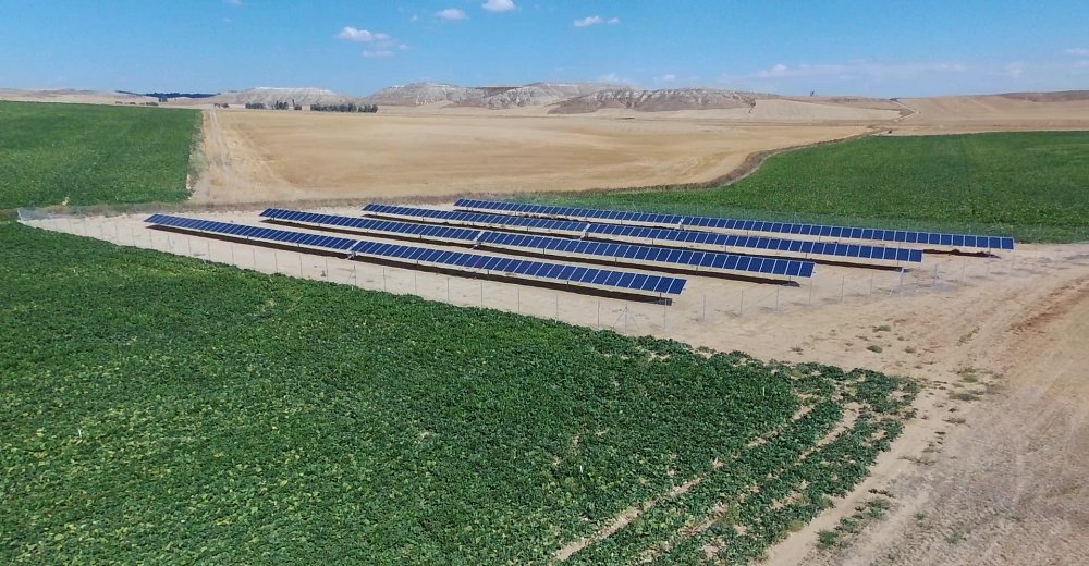 The sun-worshipping watering systems driving sustainability in Spain