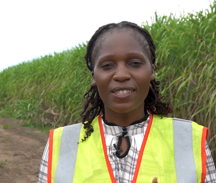 Illovo Sugar Africa - water stewardship