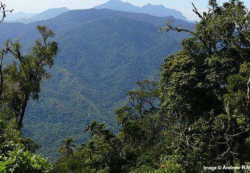 Protecting Magombera Nature Forest Reserve for generations to come