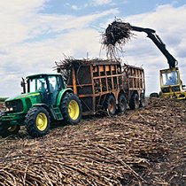 PRODUCING SUGAR where sugar comes from