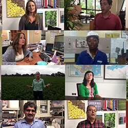 the faces of ABF Sugar - find out more