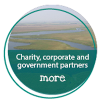 Charity, corporate and government partners