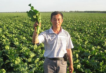 Embedding Sustainable Agriculture in China